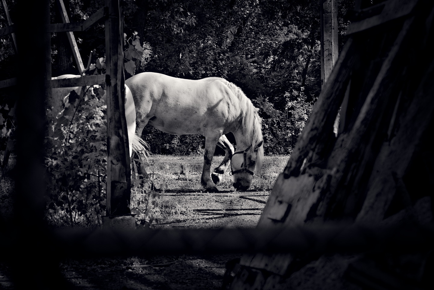 Moments au bord du canal